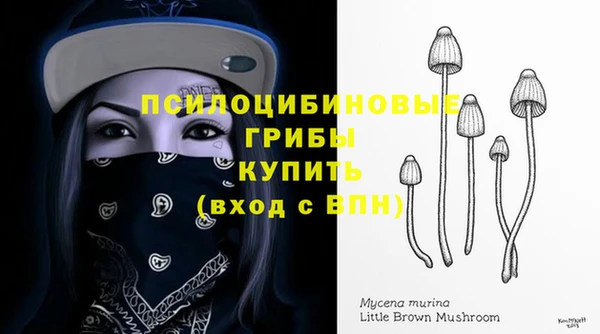 стаф Медвежьегорск